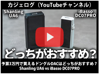 iBasso DC07PRO ケース、DACポケット付き すり抜け